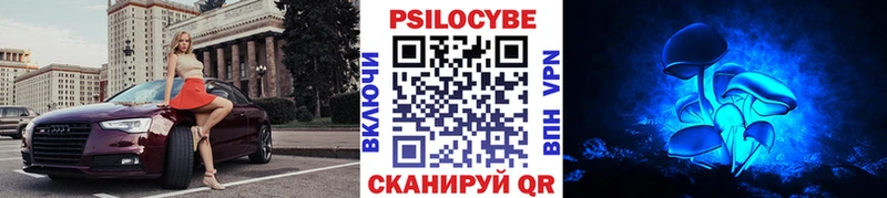 где купить наркоту  Суздаль  Галлюциногенные грибы Psilocybine cubensis 